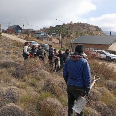 Gran jornada comunitaria: más de 90 árboles y arbustos fueron plantados en barrios de Cordones del Chapelco