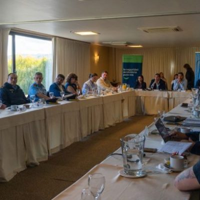 Se realizó la tercera reunión del Consejo Regional de Seguridad Ciudadana Lagos del Sur