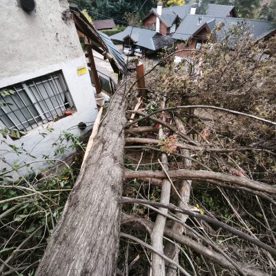 San Martín de los Andes: el temporal de viento dejó árboles caídos y voladura de chapas