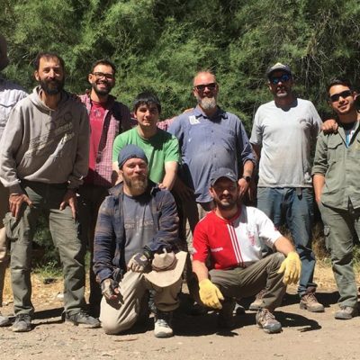 Descubren nuevos restos de dinosaurios acorazados de 120 millones de años en Neuquén