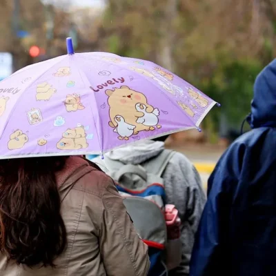 Persiste el alerta por lluvias y tormentas en la región