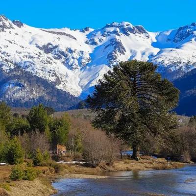 Se conmemoró el Día Provincial de la Identidad Neuquina