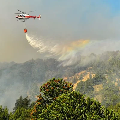 Neuquén prorroga la Emergencia Ígnea por un año ante el alto riesgo de incendios