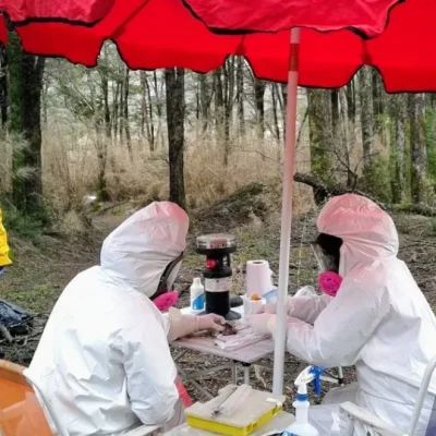 Hantavirus: más de 20 años de investigación, monitoreo y prevención
