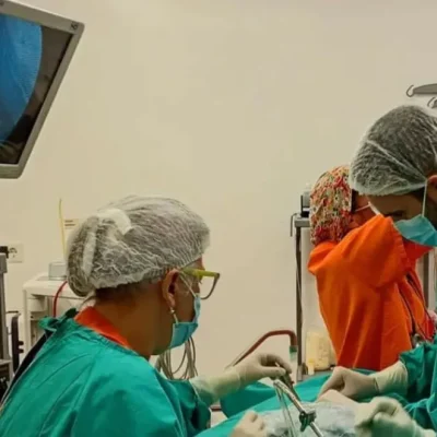 Neuquén refuerza el sistema público de salud con 103 nuevos profesionales