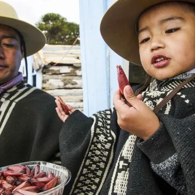 Caviahue celebra la 36° Fiesta Provincial del Piñón