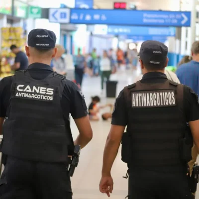 Más de 254 kilos de droga ya fueron retirados de circulación en Neuquén